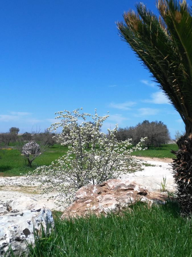 Trulli Pietra Preziosa Otel Martina Franca Dış mekan fotoğraf