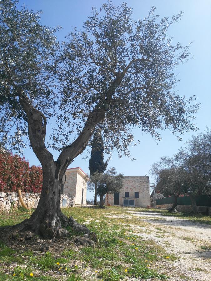 Trulli Pietra Preziosa Otel Martina Franca Dış mekan fotoğraf